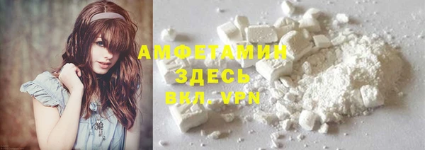 молекула духа Ладушкин
