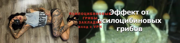 молекула духа Ладушкин