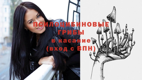 молекула духа Ладушкин