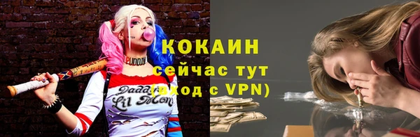мяу мяу мука Лабытнанги