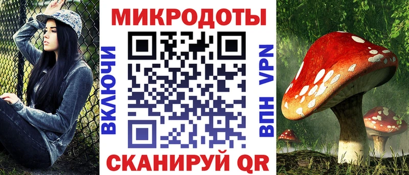 купить наркотик  Невельск  Псилоцибиновые грибы GOLDEN TEACHER 